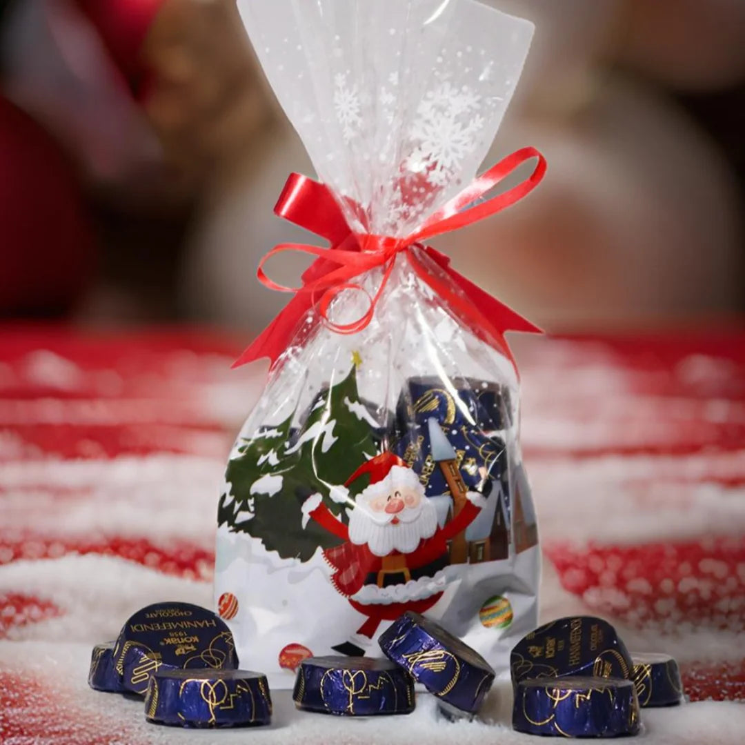 Hanımefendi Yılbaşı Özel Hediyelik Poşette Dolgulu Milk Chocolate - 200 g